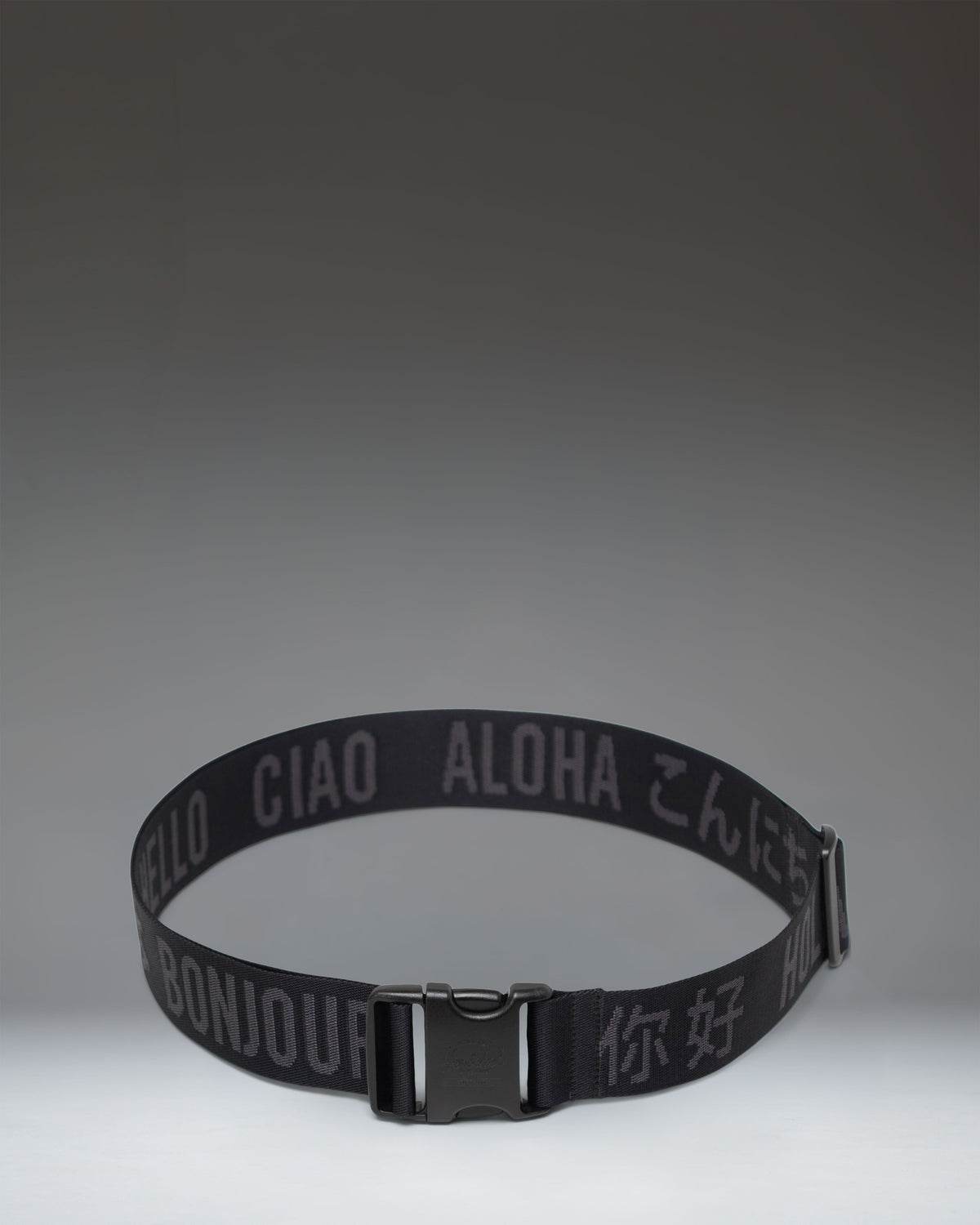 Luggage Belt H0